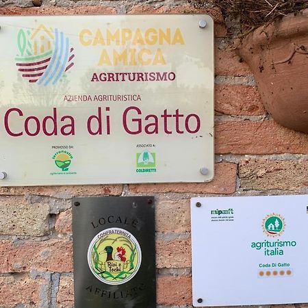 Agriturismo Coda Di Gatto Eraclea Экстерьер фото