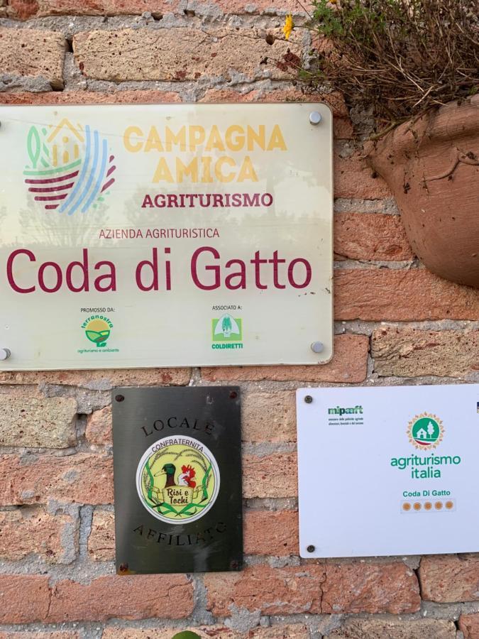 Agriturismo Coda Di Gatto Eraclea Экстерьер фото